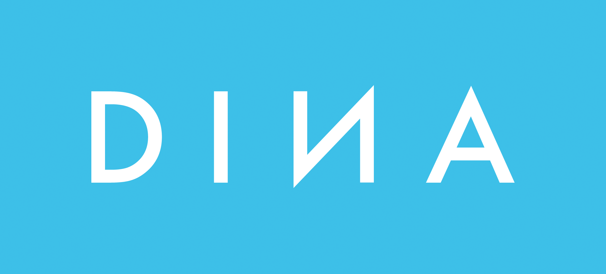 Dina Elektronik - 职能安全？